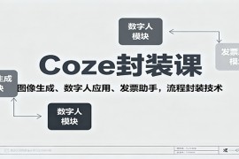 Coze封装课，图像生成、数字人应用、发票助手，流程封装技术