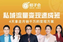 私域流量变现速成班 4天线下课程全高清版，4天拿走月销千万的变现方案