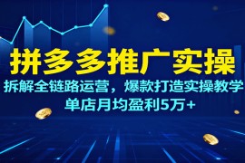 拼多多推广实操，拆解全链路运营，爆款打造实操教学，单店月均盈利5万+