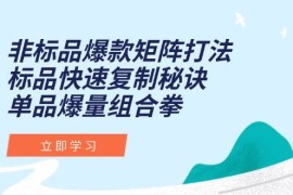 非标品爆款矩阵打法，标品快速复制秘诀，单品爆量组合拳