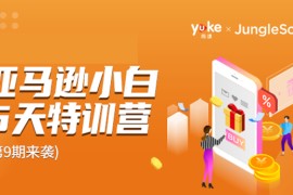 雨课亚马逊小白特训营第九期