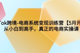 TikTok跨境-电商系统变现训练营【5月新课】从小白到高手，真正的电商实操课 