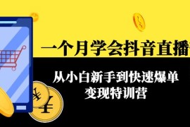 一个月学会抖音直播带货：从小白新手到快速爆单变现特训营(63节课) 