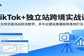 TikTok+独立站跨境实战课：全球流量选品投流教学，多平台建站直播矩阵落地打法