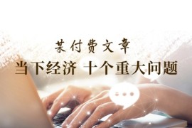 公众号付费文章《当下经济十个重大问题》覆盖了大家关心的全部经济类话题