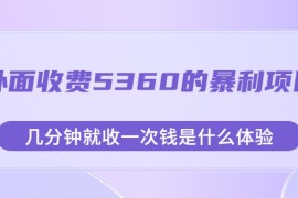 外面收费5360的暴利项目，几分钟就收一次钱是什么体验，附素材