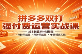 拼多多双打强付费运营实战课：成本托管双计划搭配，分阶段起量，单品裂变实操