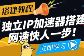 独立IP搭建教程，SOCK5-IP搭建制作详细流程，散人工作室必备技能