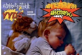 AI制作动物与萌娃互动视频，瞬间萌化你的心，粉丝大米一起收货！