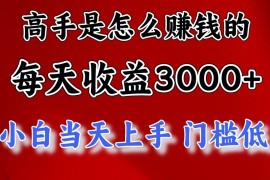 高手是怎么一天赚3000+的，小白当天上手，翻身项目，非常稳定。
