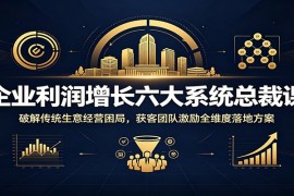 企业利润增长六大系统总裁课：破解传统生意经营困局，获客团队激励全维度落地方案