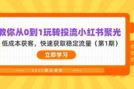 教你从0到1玩转投流小红书聚光，低成本获客，快速获取稳定流量（第1期）
