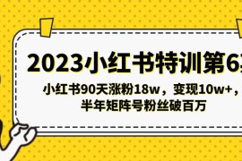 小红书特训第6期，小红书90天涨粉18w，变现10w+，半年矩阵号粉丝破百万