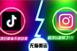抖音无脑搬运，如果这项目都拿不到结果，你可以退网了
