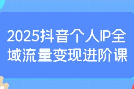2025抖音个人IP全域流量变现进阶课：选爆品、抖音付费投流、千川投流实操及优化等