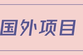 揭秘一个闷声赚钱的项目，国外网赚项目攻略及国外广告联盟赚钱流程详解