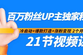 百万粉丝UP主独家秘诀：冷启动+爆款打造+涨粉变现 2个月12W粉（21节视频课) 
