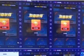 圣矾游戏挂机