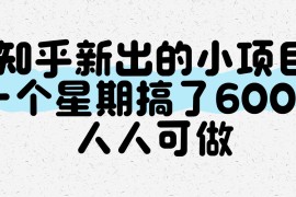 知乎新出的小项目，一个星期搞了600+，人人可做