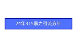 2024年自媒体爆款视频制作，快速涨粉暴力引流方针！