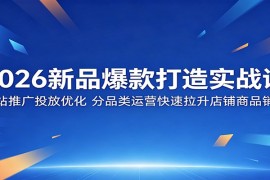 2026新品爆款打造实战课：全站推广投放优化，分品类运营快速拉升店铺商品销量