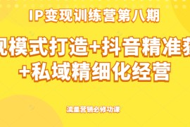  IP变现训练营第八期 ip变现模式打造+抖音精准获客+私域精细化经营，流量营销必修功课 
