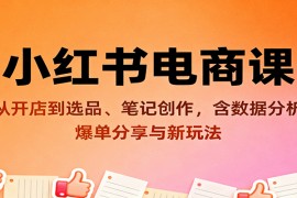 小红书电商课：从开店到选品、笔记创作，含数据分析，爆单分享与新玩法