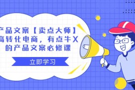 产品文案【卖点大师】高转化电商，有点牛X的 产品文案必修课 