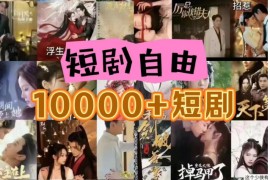 打造完全属于自己的个人短剧库，实现网盘拉新与私域变现的完美融合！