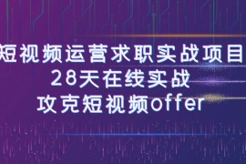 短视频运营求职实战项目，28天在线实战，攻克短视频offer（46节课）