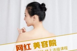 网红美容院全营销落地课程，多年美容院运营经验，价值399元（无水印）