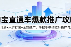 淘宝直通车爆款推广攻略：标准计划+人群打法+全站推广，手把手教你拉升投产与流量