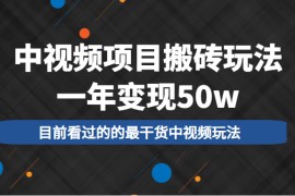 中视频项目搬砖玩法，一年变现50w，目前看过的的最干货中视频玩法