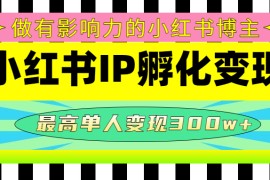 某收费培训-小红书IP孵化变现：做有影响力的小红书博主，最高单人变现300w+
