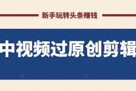 最新中视频过原创剪辑搬砖项目，当天操作当天见效，新手轻松玩转头条赚钱