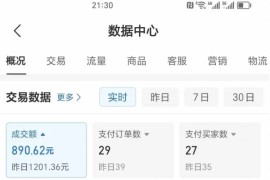 2025版多多冷门虚拟U盘项目玩法，单店铺月变现1w+，稳赚不赔！