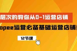 Shopee运营必备基础运营店铺打造，多层次的教你从0-1运营店铺