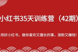 小红书35天训练营（42期）-用好小红书，做你喜欢又擅长的事，涨粉又赚钱！