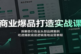 商业爆品打造实战课：拆解各行各业头部品牌案例，吃透爆款底层逻辑落地运营教程