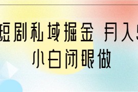靠短剧私域掘金 月入5W 小白闭眼做（教程+2T资料）