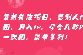 最新蓝海项目，帮别人P图，月入1w，学会几秒P一张图，简单暴利！