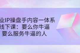 商业IP操盘手内容一体系线下课：要么你牛逼，要么服务牛逼的人