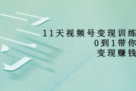 11天视频号变现训练营，从0到1打造变现赚钱系统（价值398元