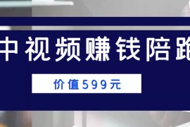 中视频赚钱陪跑，卖中视频账户赚钱收益陪跑项目（价值599元）