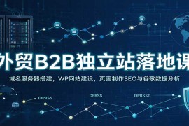 外贸B2B独立站全流程实操课：域名服务器搭建+WP建站+页面SEO与谷歌数据分析
