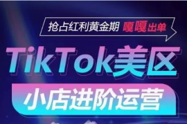 TikTok Shop美区小店进阶运营，快速掌握各流量渠道玩法，抢占红利黄金期，嘎嘎出单