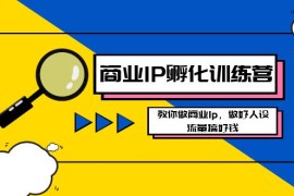 商业IP孵化训练营新版，教你做商业Ip，做好人设，流量搞好钱