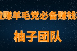 柚子团队内部项目课程：羊毛党必备兼职项目，哆啦赚轻松日入200+