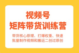 视频号矩阵带货训练营，带货核心原理、打爆权重、快速批量制作视频和搬运二创过原创 
