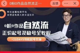 0粉0作品自然流正价起号及稳号全教程，专业自然流起号机构流程化教学（价值2980元）